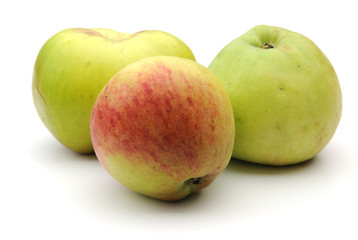 cooking apples