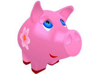 pig