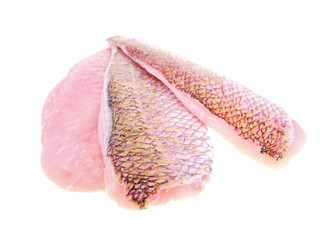 red snapper fish fillet