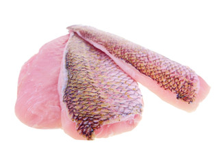 red snapper fish fillet