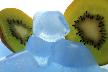 Kiwi auf Eis