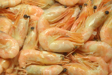 cooked prawns