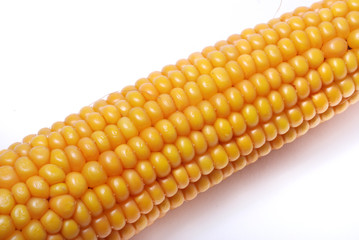 An ear of ripe corn