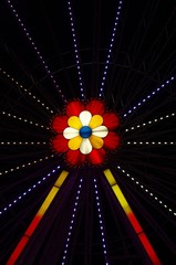 Neon flower in the amusement park by night