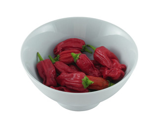 Capsicum annuum I