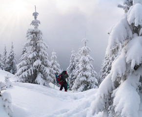 Beautiful winter landscape in the Carpathian mountain