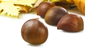 Castagne Close up