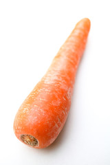Organic Carrot