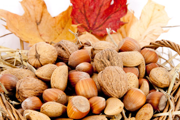 Nüsse in einem Korb