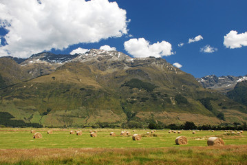 Fototapeta na wymiar New Zealands countryside