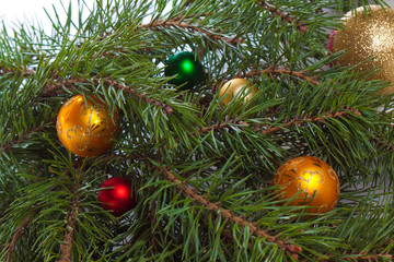 Christmas fir with decoration