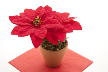 Weihnachtsstern auf roter Serviette