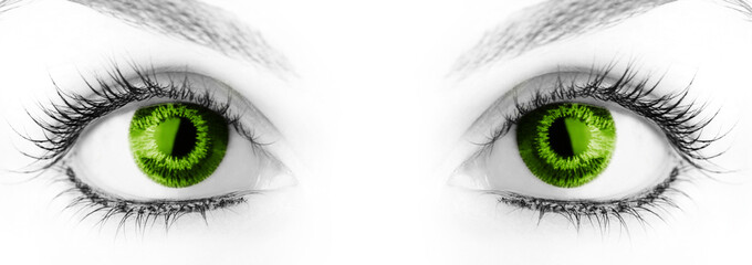 Beauty big eye.