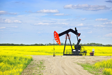 Nodding oil pump in prairies © Elenathewise