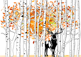 Obrazy na Plexi  Jeleń w lesie