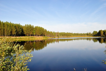 Летнее утро на озере
