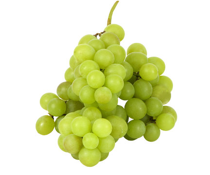 cluster of fresh muscatel grapes