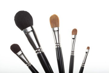 a set of 5 make-up brushes in a fan composition.