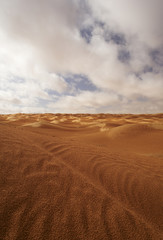 Sahara Tunisino