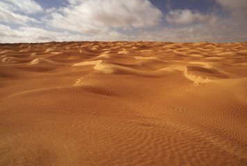 Fototapeta na wymiar Sahara Deserto