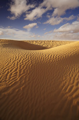 Deserto del Sahara