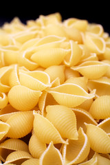 Conchiglie Italian Pasta Shells