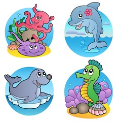 Obraz premium Various water animals and fishes 1