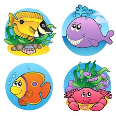 Obraz premium Various water animals and fishes 2