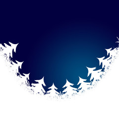 Frame made from white christmas trees