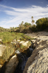 Oasi di Tamerza in Tunisia