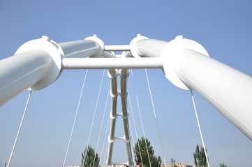 Puente del Biopark en Valencia, España.