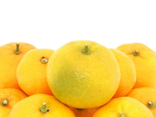 Group of Mandarins