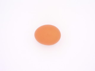 A brown egg on white 02