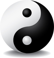 ying yang with shadow - illustration - 27620934