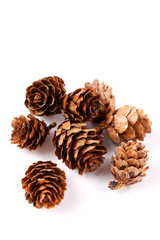 Weihnachtsdeko Zapfen Natur Tannenbaum Tannenzapfen