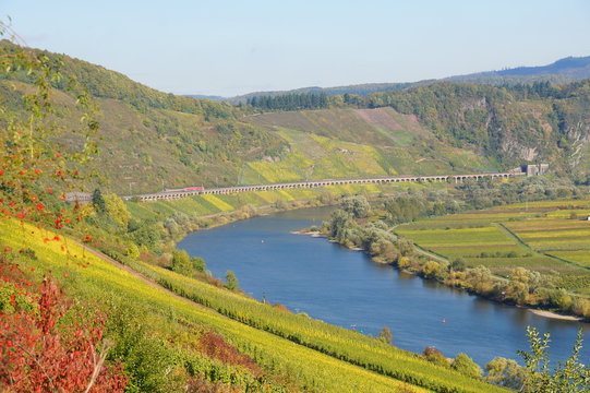 Mosel bei P&uuml;nderich