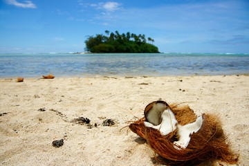 Fototapeta na wymiar Broken coconut in tropical beach scene.