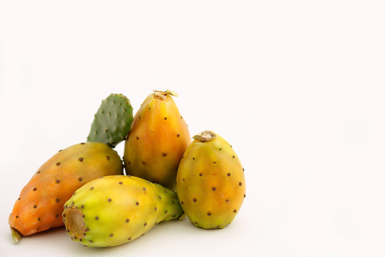 Fichi d'india