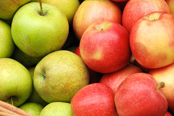 Apple crop in a basket