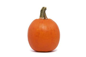 A Single Pumpkin Isolated against a White Background