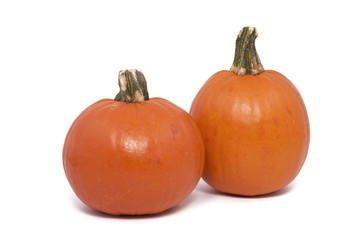 Two Small Pumpkins Isolated against a White Background