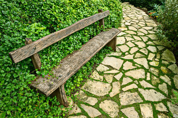 Overgrown weathered wooden bench by paved garden path