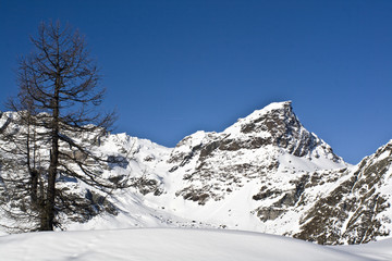 Fototapeta na wymiar Mountain winter