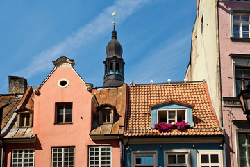 Fototapeta premium The roofs of Riga