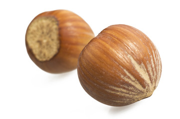 Nocciole