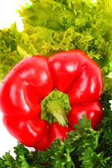 Red Pepper and green salad