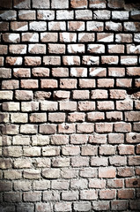 Obraz premium wall texture