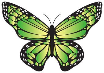 Mariposa