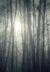 Muurstickers forest © magann