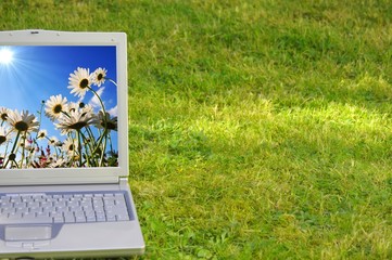 laptop and flower